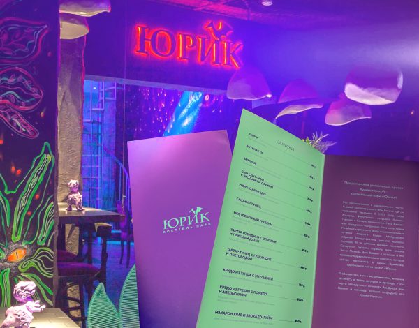 Разработано дизайн меню для коктейльного парка «Юрик»