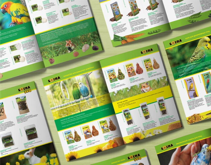 Разработка дизайна и верстки буклетов и каталогов